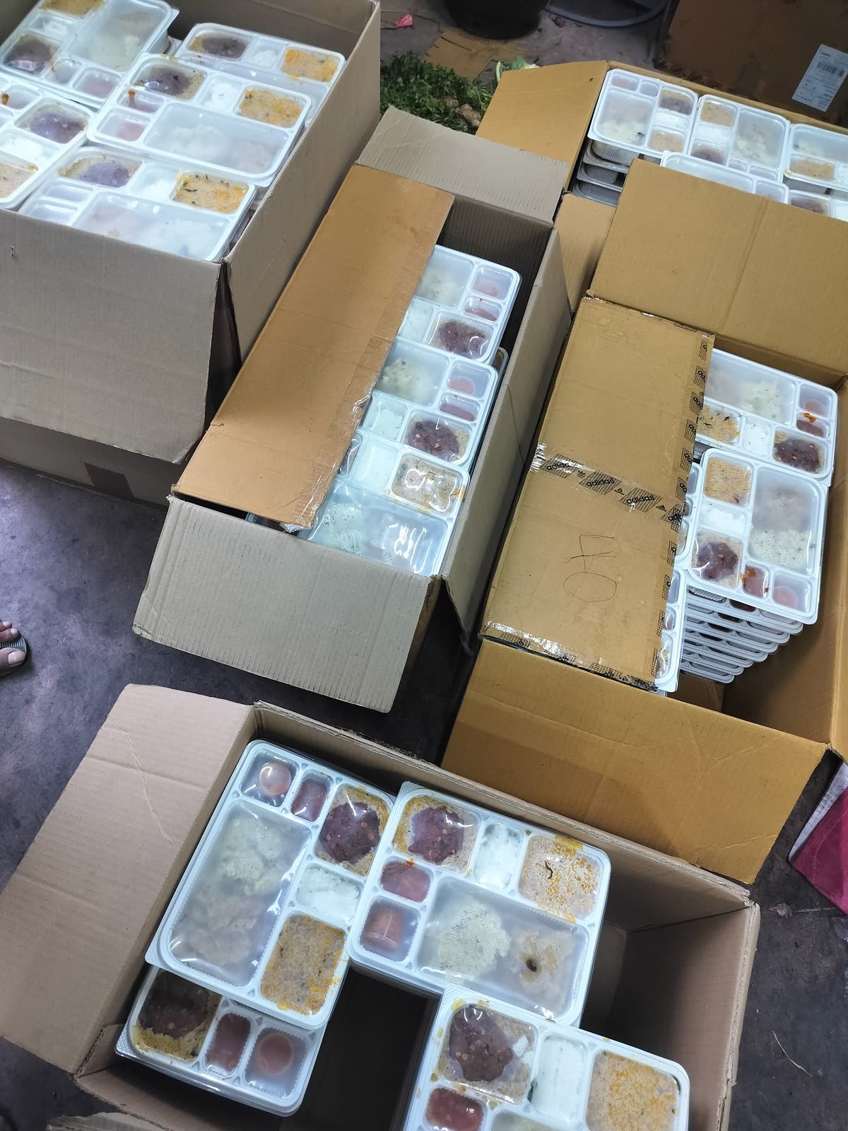 Sealed meal trays packed into cartons and labelled for delivery